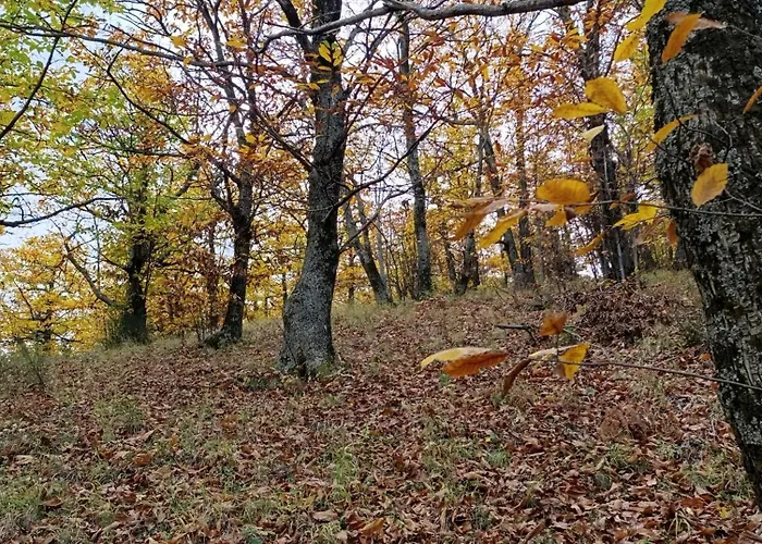 Herculea Rifugio Bosco Bradano * San Fele